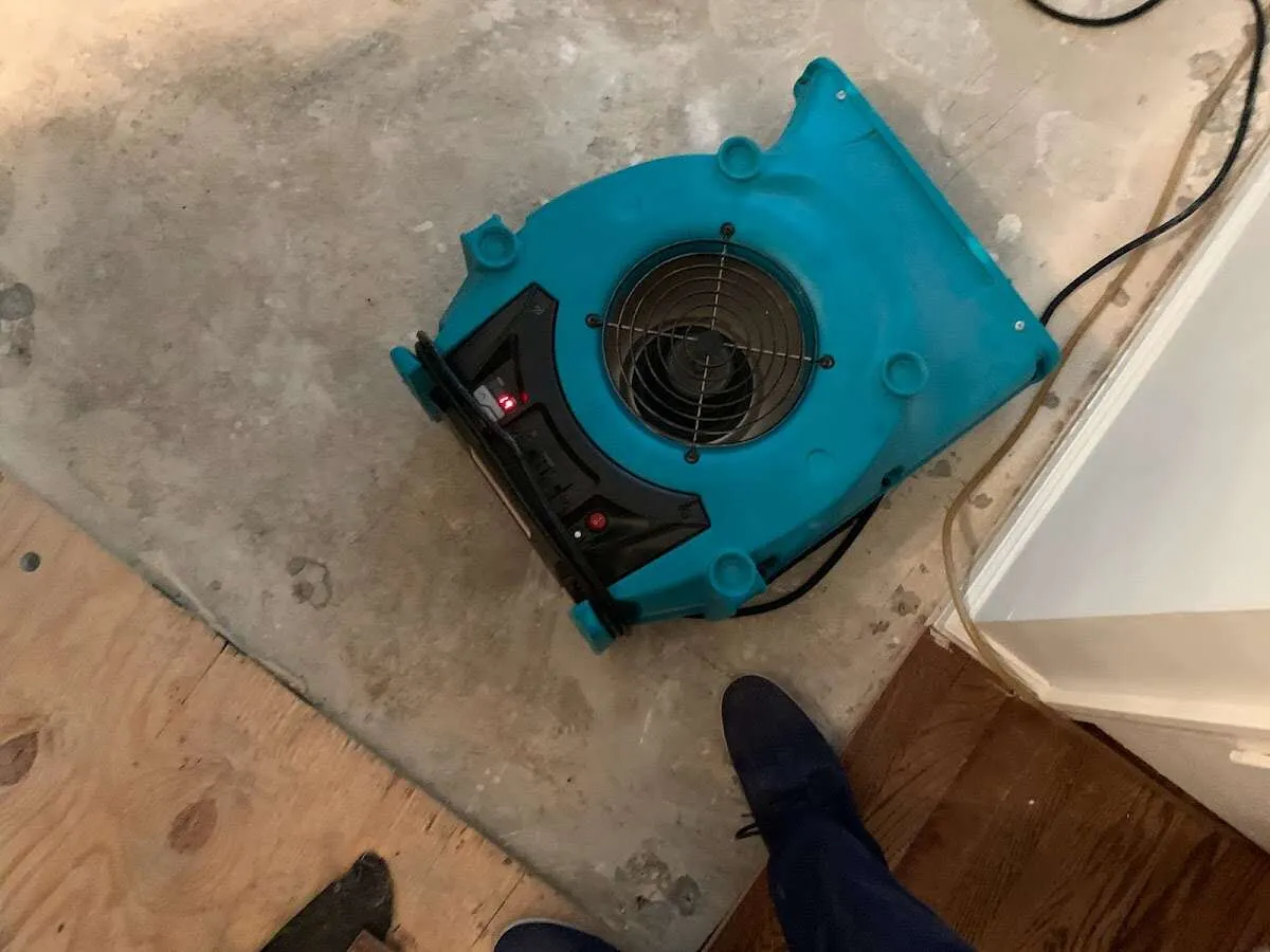 Air mover drying subfloor during Commercial Water Damage Restoration in Thompson's Station
